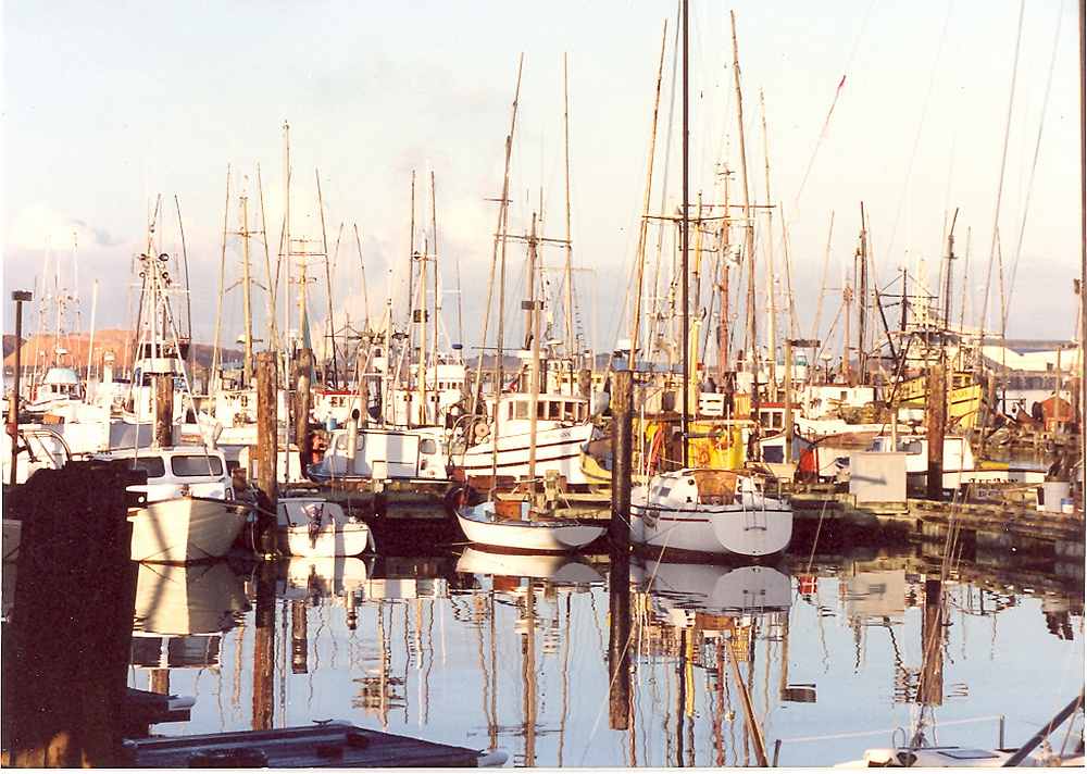 epoxy marine catalog