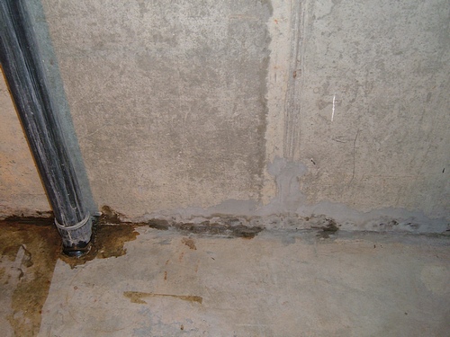 leaking cellar